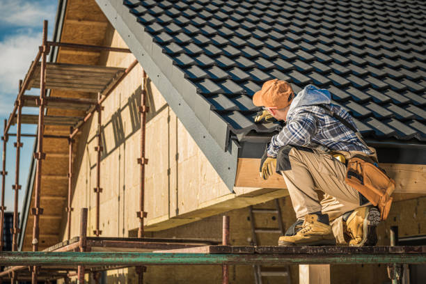 Best Shingle Roofing Installation  in Lauderdale Lakes, FL